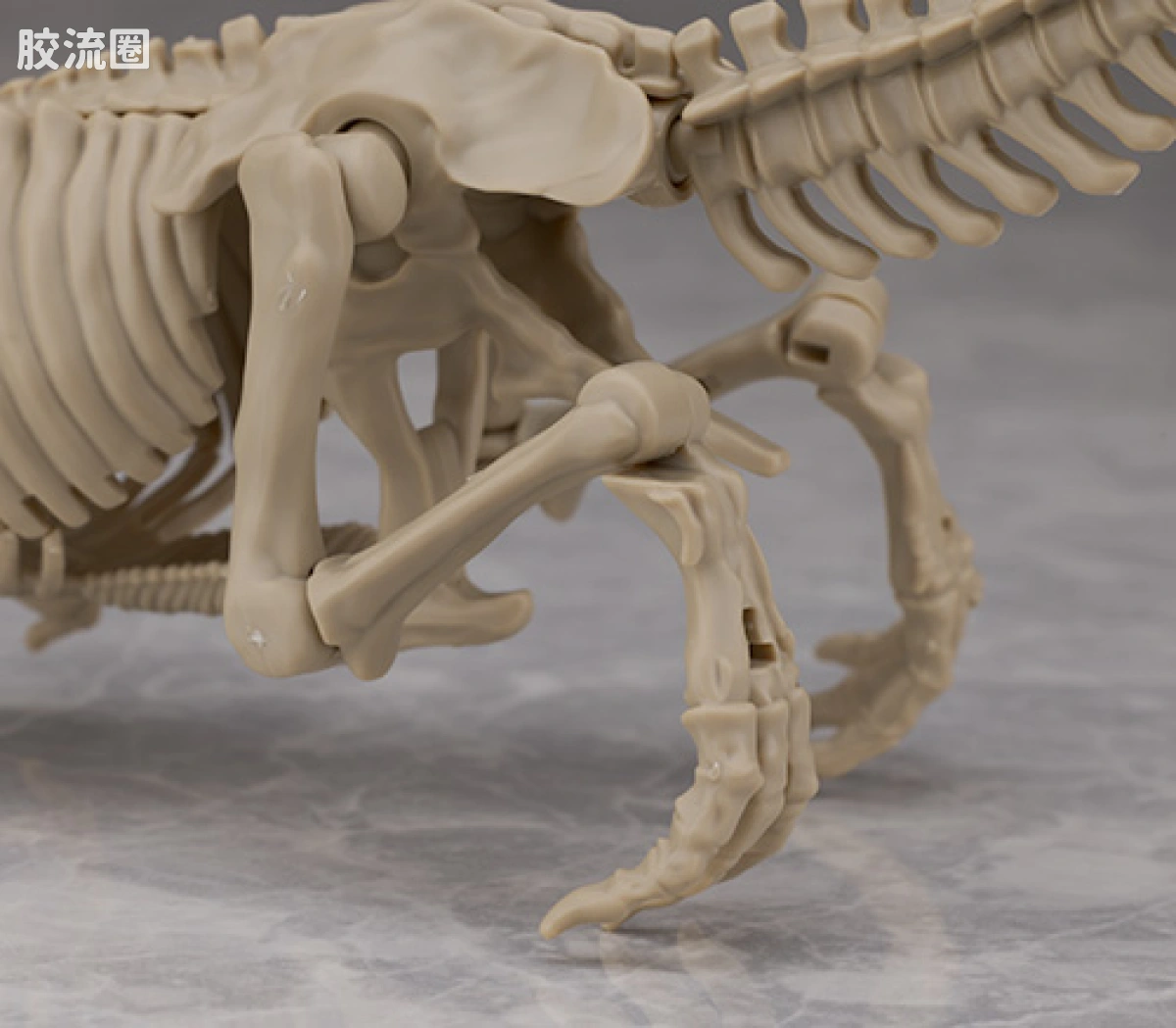 万代综合拼装模型系列 Plannosaurus <侏罗纪世界 重生> 霸王龙 - 图片